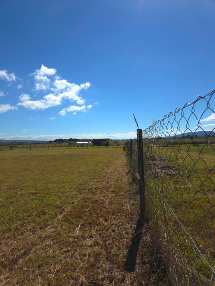 Dos lotes en venta El Cedron