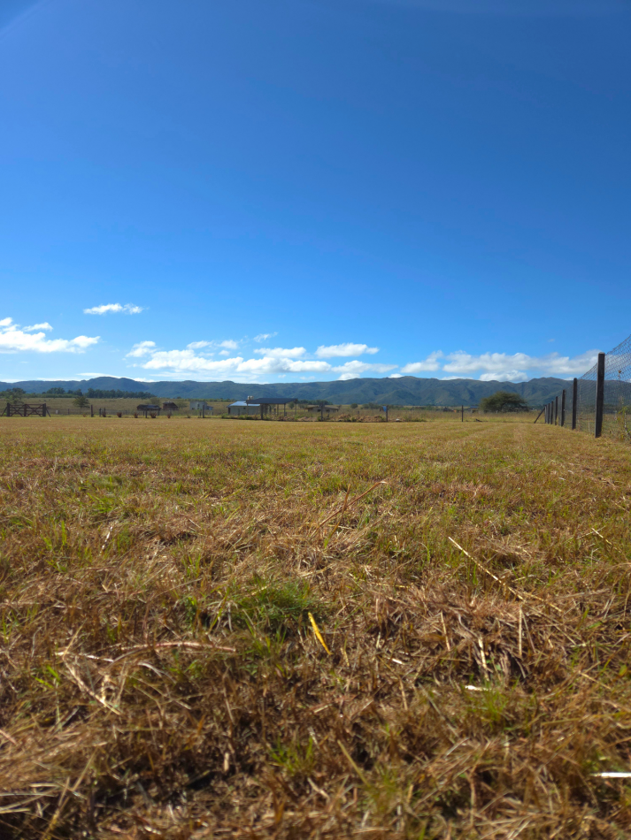 Dos lotes en venta El Cedron