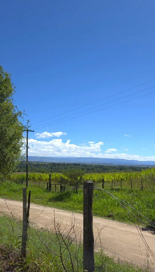 Lote a metros del rio Los Reartes