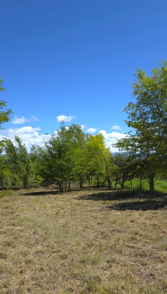 Lote a metros del rio Los Reartes