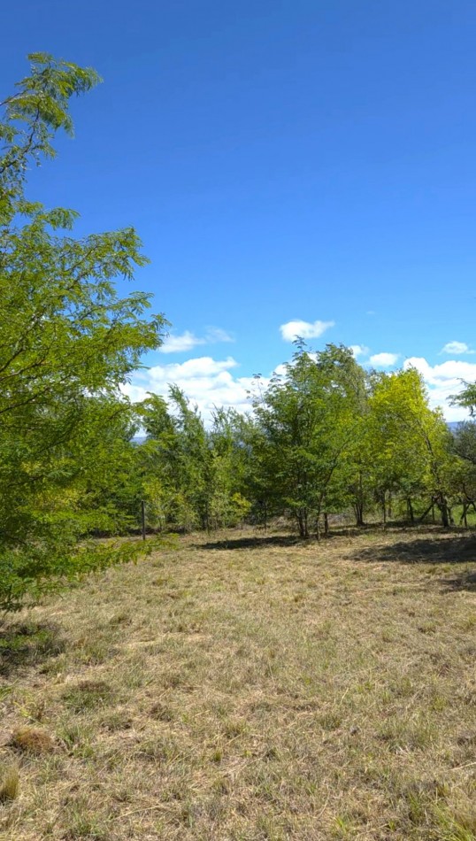 Lote a metros del rio Los Reartes