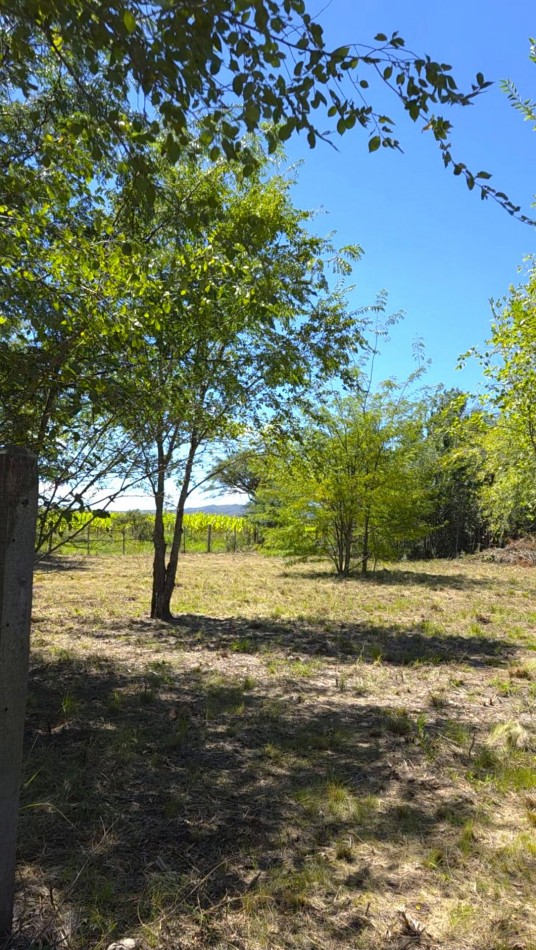 Lote a metros del rio Los Reartes