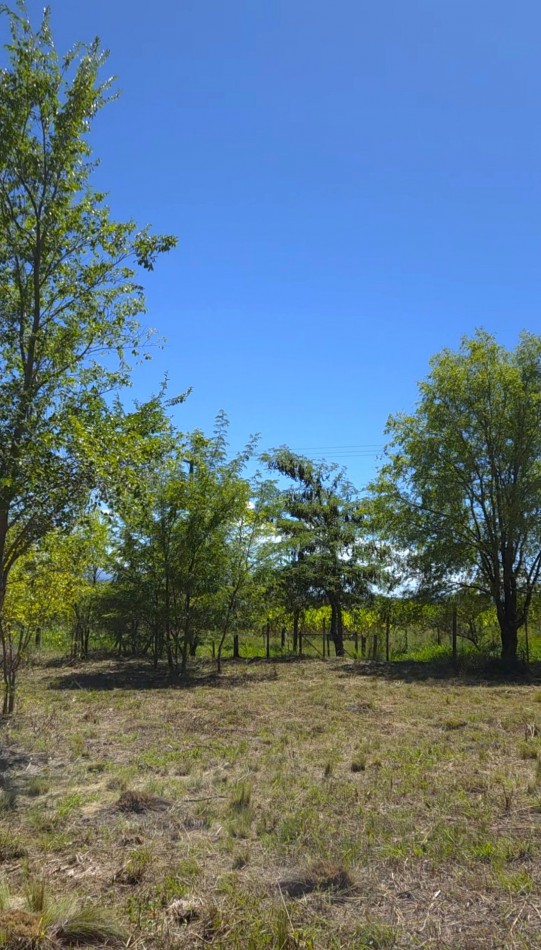Lote a metros del rio Los Reartes