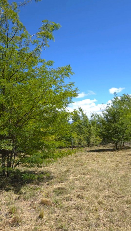Lote a metros del rio Los Reartes