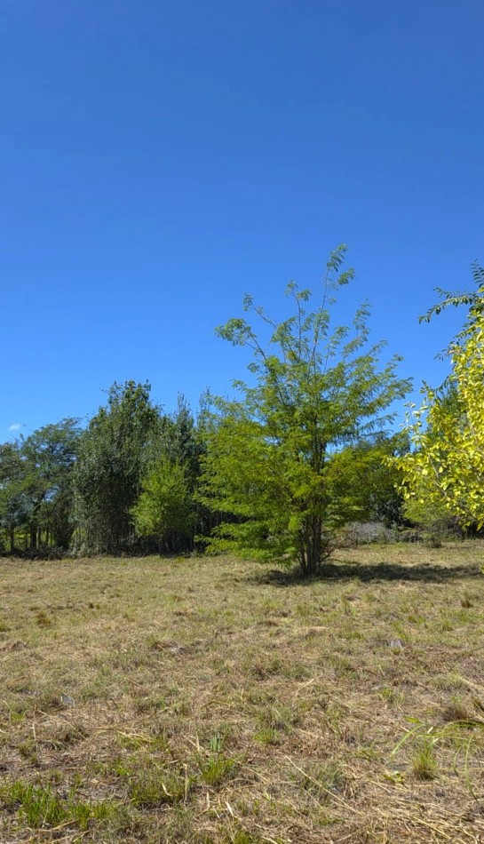Lote a metros del rio Los Reartes