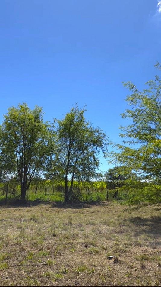 Lote a metros del rio Los Reartes