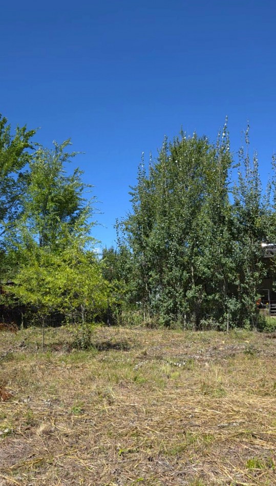 Lote a metros del rio Los Reartes