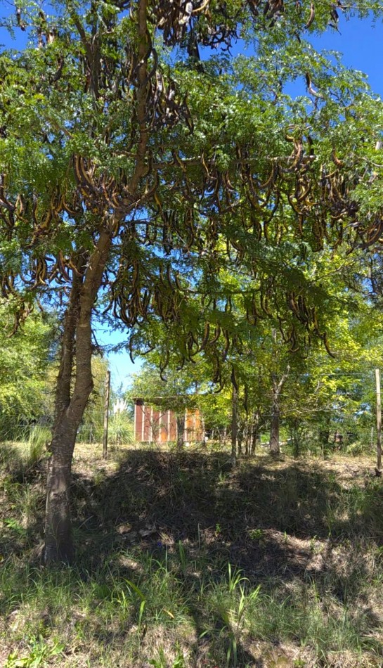 Lote a metros del rio Los Reartes