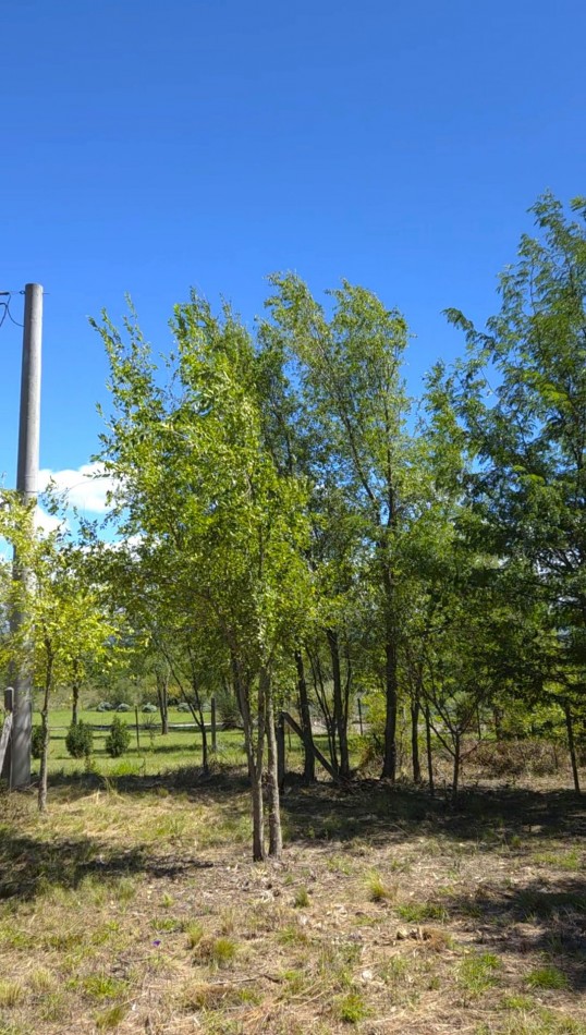 Lote a metros del rio Los Reartes