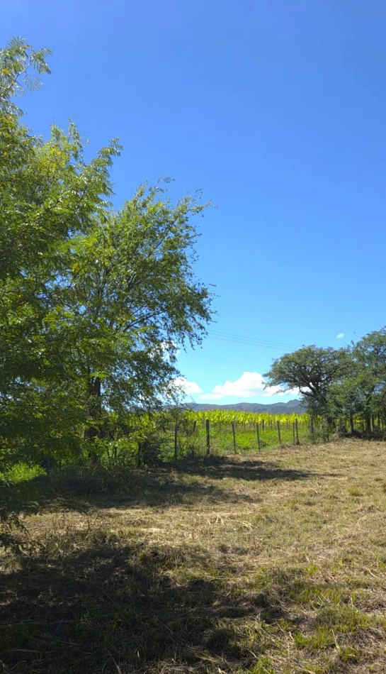 Lote a metros del rio Los Reartes