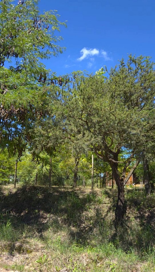 Lote a metros del rio Los Reartes